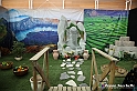 VBS_4586 - Festival dell'Oriente 2022